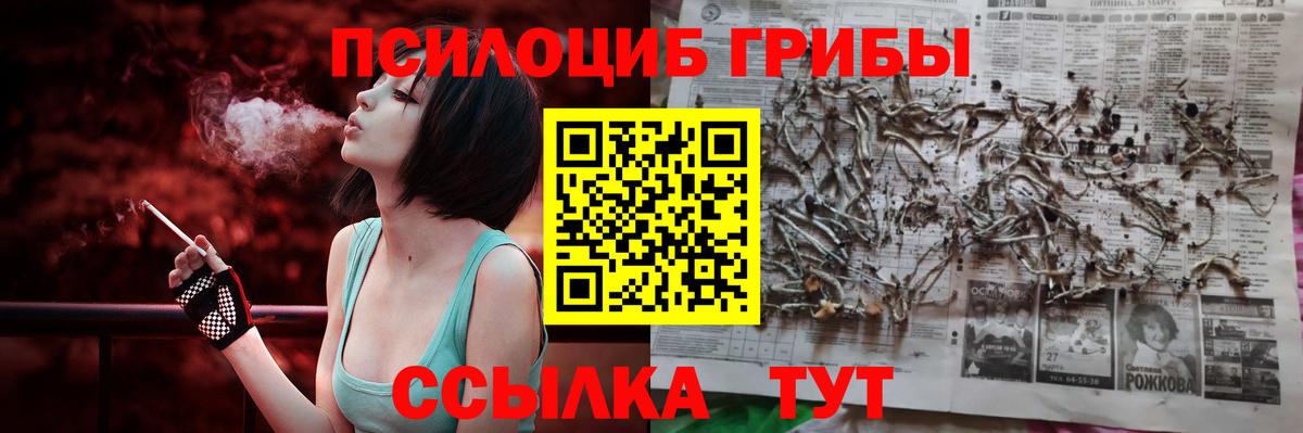 Галлюциногенные грибы мицелий Кузнецк
